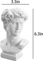 David Statue Vase - 6 Inch Greek Bust Head Aesthetic Planter White Home Decor Roman Style Resin Succulent Flower Planter Pot Sculpture Brushes Holder Makeup Pen Holder