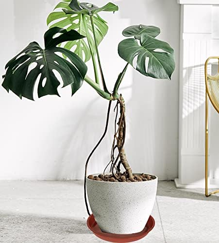 VUWEZ 6 Pack of 12 inch Plant Saucer, Plastic Plant Saucer 12", Plant Saucers for Indoors, Plant Water Tray, Plant Trays for Pots, Planter Tray, Plant Saucers for Planter 11-13" (12", Terracotta)
