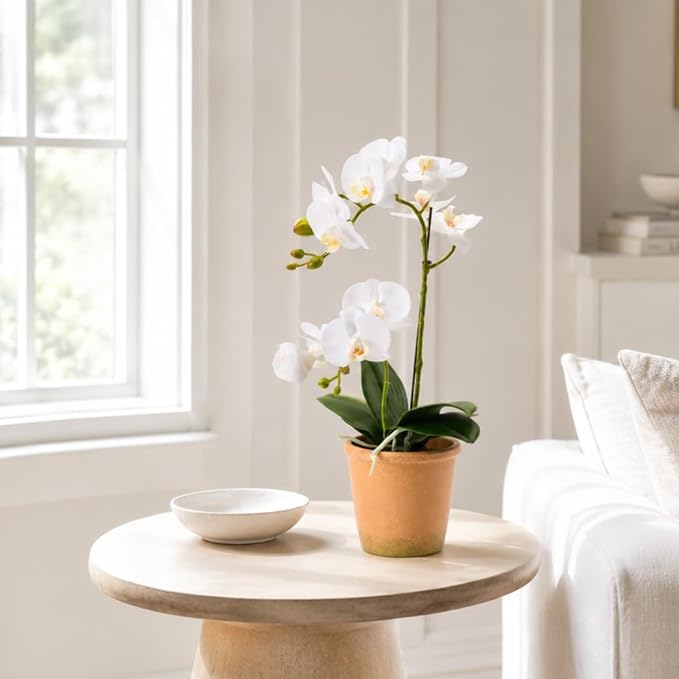 Avoeco Artificial Real Touch Orchid Plant – 15" Faux Phalaenopsis in Pot – Highly Realistic Silk Orchid Flower & Leaf Texture for Home, Office,Shop & Wedding Décor (1 White, 15“)