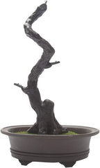 KOET Artificial Bonsai Pine Tree, 11Inch Faux Potted Plant Desk Display Fake Tree Pot Ornaments, Japanese Cedar Bonsai Plant for Home, Office Decoration