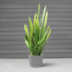 Root & Vessel Majestic Mid-Century Modern Low Profile Cylinder Pot, Matte Gray, 4.5"