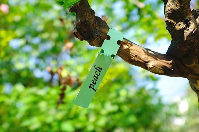 DaTpuik 100Pcs Green Plant Tags Wrap Around Tree Tags Markers, Removable,Adjustable Garden Labels Plant Tags(8.27"x0.8", Green)
