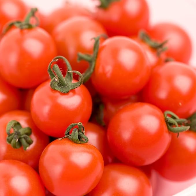 Cherry Tomato Plant, 4 Inches Pot Live Tomato Starter Plant