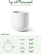 LE TAUCI 6 Inch Plant Pot, Ceramic Pot with Drainage Hole & Rubber Plug, Indoor Planter for Herbs & Small Houseplants, Cylinder Planter for Home Office, White