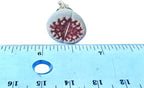Live Exotic Lithops Karasmontana V Mickbergensis VAR Red Top Living Stone Rare Succulent (Medium)