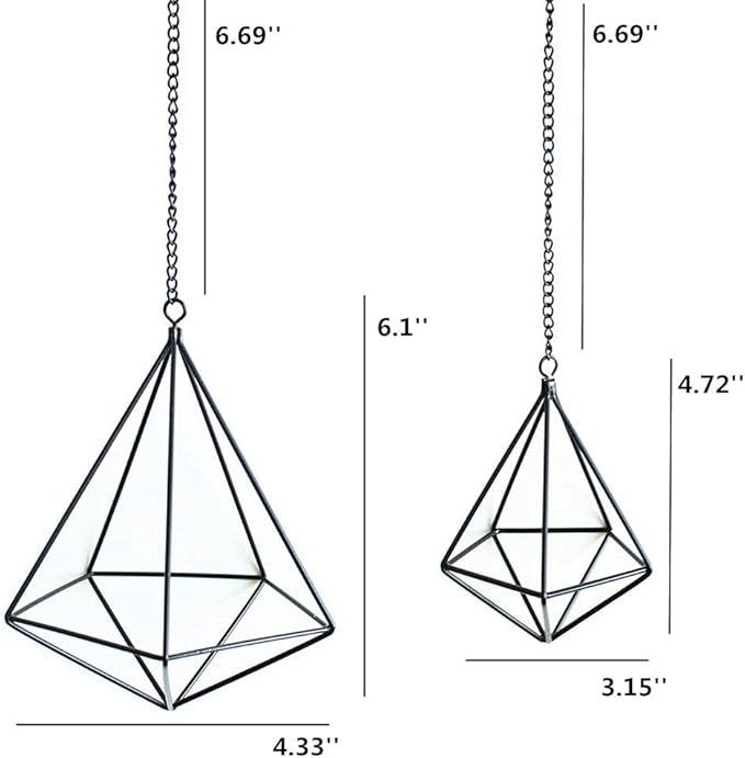 Geometric Air Plant Hangers - 4 Pack Black Metal Tillandsia Display Cages, Hanging Air Plant Holders for Indoor Plants Decor, Air Fern Frame