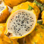 Dragon Fruit Yellow Dragon (4 Pack) | Real Live Fruit Plants for Sale | Rare Exotic Variety | Sweet Edible Fruit | Easy to Grow Live Plants for Organic Gardens