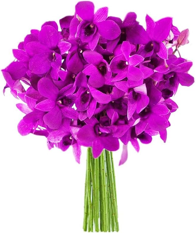KaBloom - 20 Purple Orchid Without Vase - Fresh Flowers for Birthday, Valentine's & Mother's Day