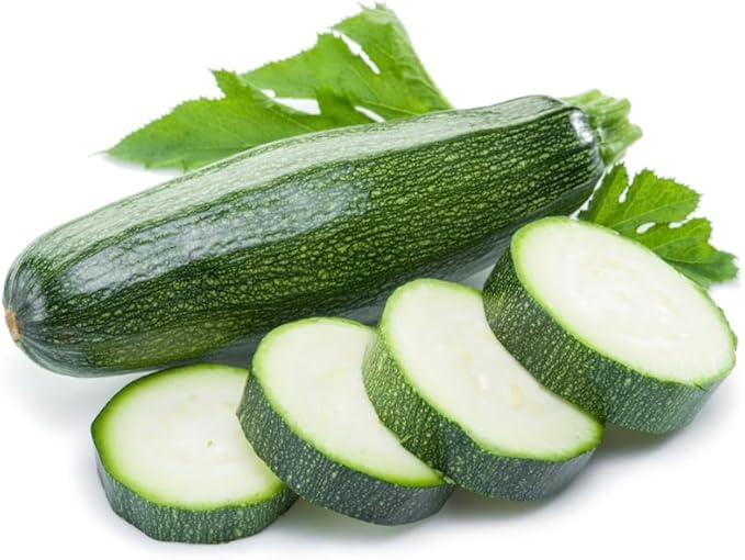 2 Green Zucchini Plants, Live Zucchini Plants in Pot, Summer Squash for Outdoor Garden, 3 to 6 Inch Tall Plant
