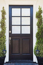Brighter Blooms - Southern Living® Spartan Juniper, 2-3 ft. - No Shipping to AK, AZ, CA, HI