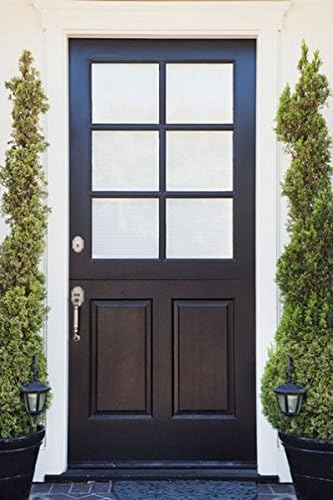 Brighter Blooms - Southern Living® Spartan Juniper, 2-3 ft. - No Shipping to AK, AZ, CA, HI