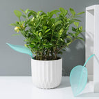 6Pcs Creative Leaf-Shaped Water Funnel Innovative Garden Plant Watering Device for Irrigation and Drainage
