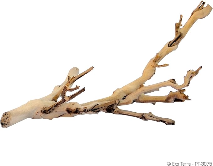 Exo Terra Forest Branch Small – Natural Wood Terrarium Decoration for Reptiles, Amphibians & Small Pets