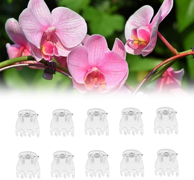 50Pcs Transparent Plant Orchid Clips,Flowers Fixer for Garden Vine Stem Plants Climbing Clasp for Support,Orchid Clips for Plants Support Garden Stakes