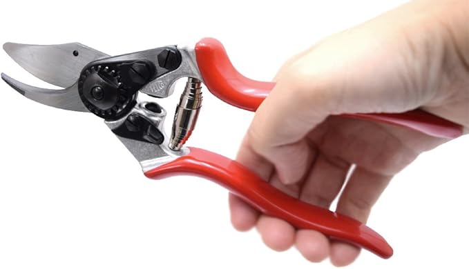 FELCO6 Pruning Shears, Right Handed, 7.7 inches (195 mm)