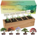 5 Pack Bonsai Tree Kit with Complete Tools, 5X Unique Seeds Bonzai Tree Live Kits, Complete Indoor Bonsai Starter Kit with Wooden Box, Perfect Christmas Garden Gift for Mom, Men, Women, Plant Lover