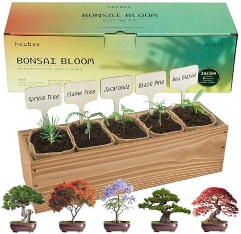 5 Pack Bonsai Tree Kit with Complete Tools, 5X Unique Seeds Bonzai Tree Live Kits, Complete Indoor Bonsai Starter Kit with Wooden Box, Perfect Christmas Garden Gift for Mom, Men, Women, Plant Lover