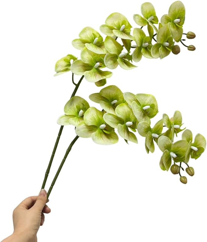 2 Pcs Orchid Stems 38" Artificial Flowers Real Touch Latex Faux Phalaenopsis Branches White Artificial Flowers for Wedding Party Home Garden Decor (Green, 38")