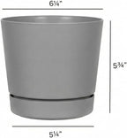 Root & Vessel Majestic Full Depth Round Cylinder Pot, Glossy Gray, 6-Inch (10060)