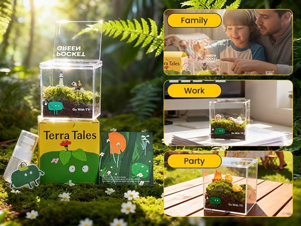 DIY Moss Terrarium Kit, 4 * 4 * 4 inch Acrylic Cube Mini Garden with Live Star Moss, Soil, Stop Arguing-Craft Kit for Adults and Teens, Relaxing Desk Decor & Unique Gift for Home or Office