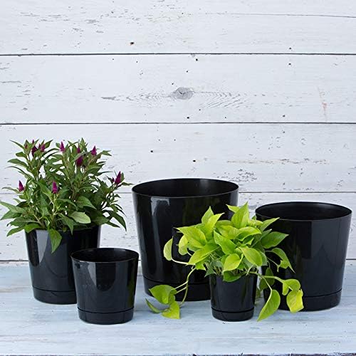 Novelty Root & Vessel Majestic Full Depth Round Cylinder Pot, Glossy Black, 14-Inch (10148)