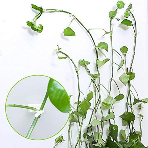 Plant Clips-Plant Climbing Wall Fixture Clips 110PCS, Invisible Clips For Climbing Plants，Self-Adhesive plant wall clips For Plant Support, Sticky Plant Fixture Clips Plant Holder For Pothos