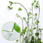 Plant Clips-Plant Climbing Wall Fixture Clips 110PCS, Invisible Clips For Climbing Plants，Self-Adhesive plant wall clips For Plant Support, Sticky Plant Fixture Clips Plant Holder For Pothos