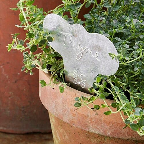 Sophie Conran Metal Herb Labels