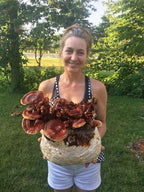 Mushroom Man LLC Reishi Mushroom Indoor Growing Kit