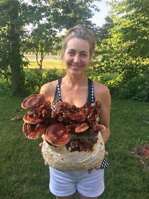 Mushroom Man LLC Reishi Mushroom Indoor Growing Kit