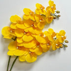 2 Pcs Orchid Stems 38" Artificial Flowers Real Touch Latex Faux Phalaenopsis Branches White Artificial Flowers for Wedding Party Home Garden Decor (Yellow)