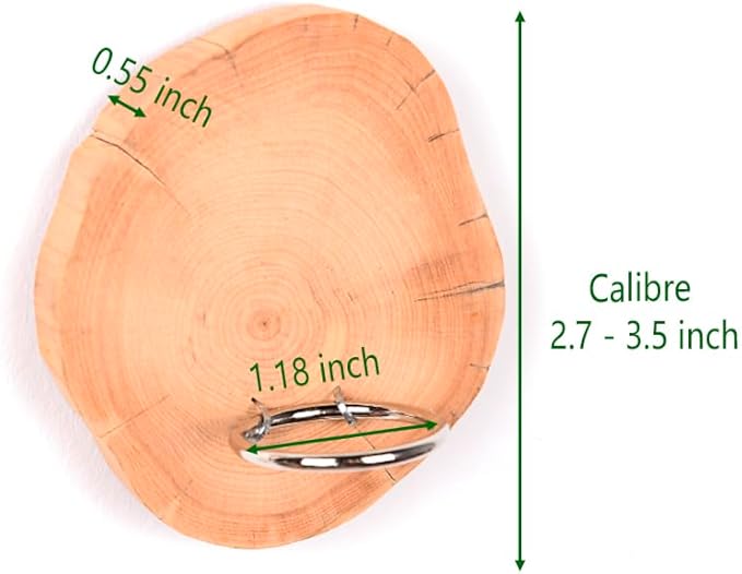 MITIME Magnetic air Plant Holder Refrigerator Sticker, Natural Wood Irregular Shape air Plant Wall Mount Holder. Refrigerator, Wall Decoration.Living Rooms, and Kitchens (Cypress Wood, 3)