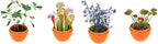 Toys By Nature Mini Terrarium 7 Variations Bundle, 100% USA Made Complete Starter Kit with Different Plants, Low Maintenance and Fun Plant Terrariums Just Add Water to Grow