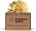 Golden Oyster Mushroom Grow-at-Home Kit - 6lbs - Grow a Commercial Sized Mushroom Crop Easily at Home