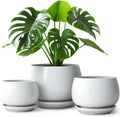vancasso 3-Pack Ceramic Plant Pots, 7.3/9.6/11.6 Inch Indoor Planters with Saucers & Drainage Hole Planter pots for Indoor Plants and Flower, Gray