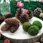 Farmoo Moss Balls Preserved All Natural, 3.5"-Set of 6 (Natural Green)