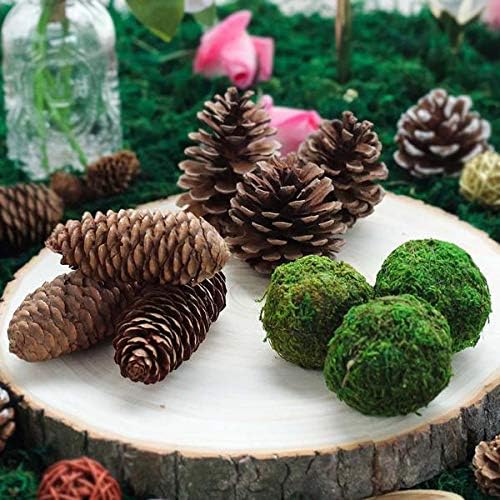 Farmoo Moss Balls Preserved All Natural, 3.5"-Set of 6 (Natural Green)