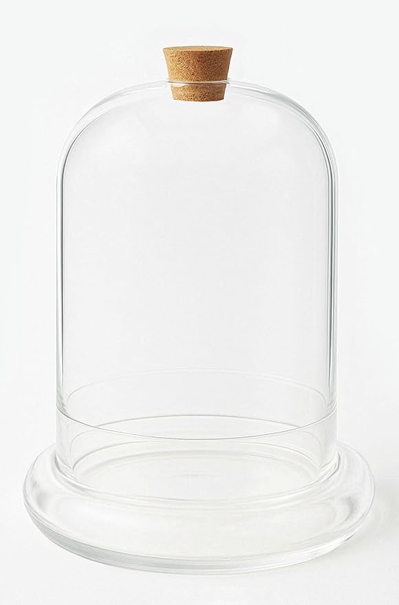 Handblown 12" Glass Terrarium with Opening for Air Flow & Cork Stopper Cloche Style Glass Dome Vivarium Display Case (Extra Large)
