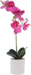 Artificial Phalaenopsis Orchid Bonsai 8 Purple Faux Flowers, Realistic Simulation Potted Plant for Home Indoor Decoration, Small Fake Orchid Arrangement for Living Room and Office