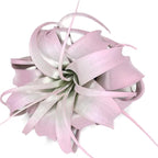 XL Xerographica Colored Air Plant, Live Tillandsia House Plant, Easy Care Indoor Outdoor, Great Gift, Healthy Arrival Guaranteed (Light Pink)