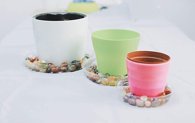 TRUEDAYS 8 Inch 5 Pack Clear Plant Saucers Flower Pot Tray Excellent for Indoor & Outdoor Plants