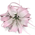 XL Xerographica Colored Air Plant, Live Tillandsia House Plant, Easy Care Indoor Outdoor, Great Gift, Healthy Arrival Guaranteed (Light Pink)