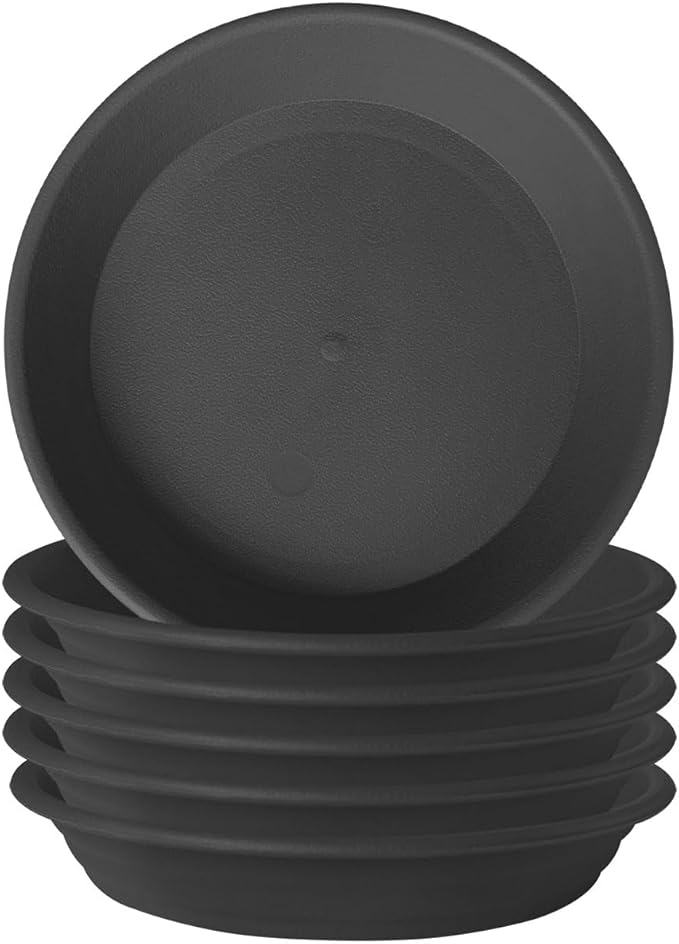 Plastic Plant Saucer 10 inch (7.7" at Base) Pack of 6, Plant Trays for Indoors, Thick Durable Strong Planter Saucer Pot Dish Plate Drip Trays for Outdoors