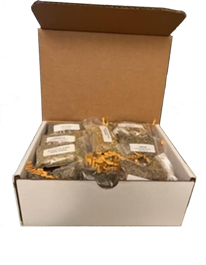 20 Herb Wiccan Apothecary Kit - Witchcraft, Wiccan, Pagan Herb Starter Kit - 40mm Roll of Easy Light Charcoal - Shipped in Sturdy Cardboard Storage Box (9"x6"x3")