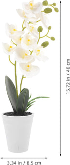 Artificial Butterfly Orchid Faux Potted Plant White Simulation Bonsai Indoor Home Décor Table Ornament for Living Room and Office Display