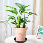 VUWEZ 6 Pack of Plant Saucer 8 Inch, 8 inch Plant Saucer Round, Plastic Flower Plant Trays for Pots, Plant Saucers for Indoors 8", Plant Pot Saucers, Planter Tray for Planter 6-8" (8", Brown)