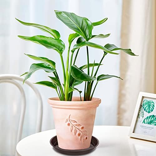 VUWEZ 6 Pack of Plant Saucer 8 Inch, 8 inch Plant Saucer Round, Plastic Flower Plant Trays for Pots, Plant Saucers for Indoors 8", Plant Pot Saucers, Planter Tray for Planter 6-8" (8", Brown)
