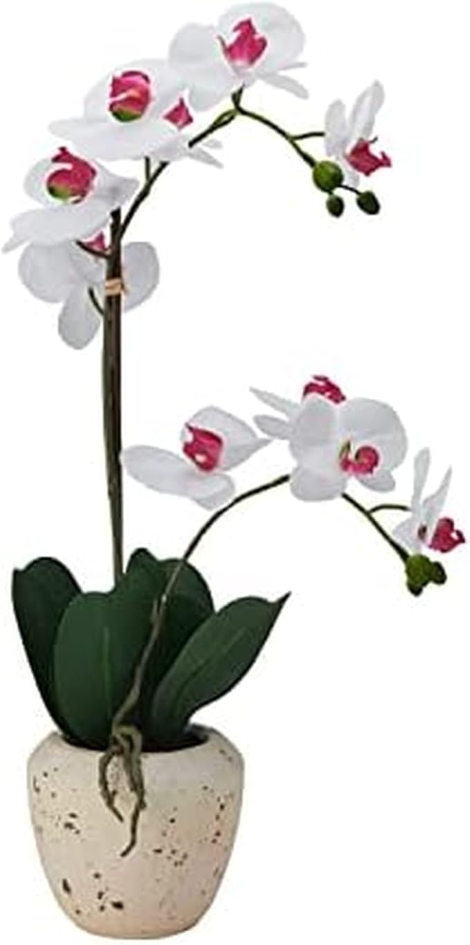 Mikasa Artificial Orchid in Pot, Real Touch Phalaenopsis Orchid, Faux Aged Cement Pot, 22-Inch Double Branch, White/Pink