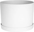 Bloem Mathers 6" White Round Modern Resin Garden Planter Pot with Drainage Holes and Removable Saucer Tray Included