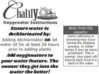 Chalily Anacharis Submerged Oxygenator, a Great Live Pond Plant for Your Water Garden. Filters The koi and Goldfish Pond. Good for Underwater Areas! Submerged Oxygenator!